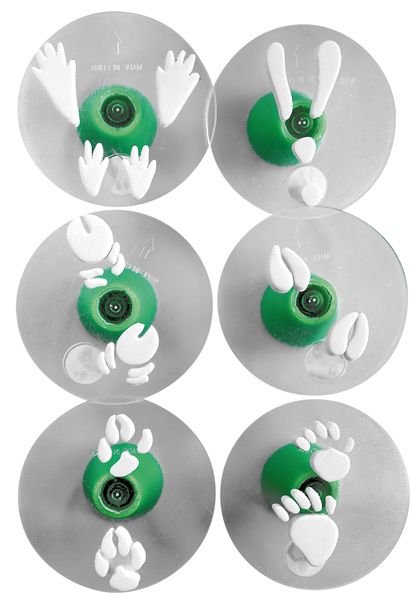 Tierspurenstempel, 12er Set Tierspurenstempel, 12er Set