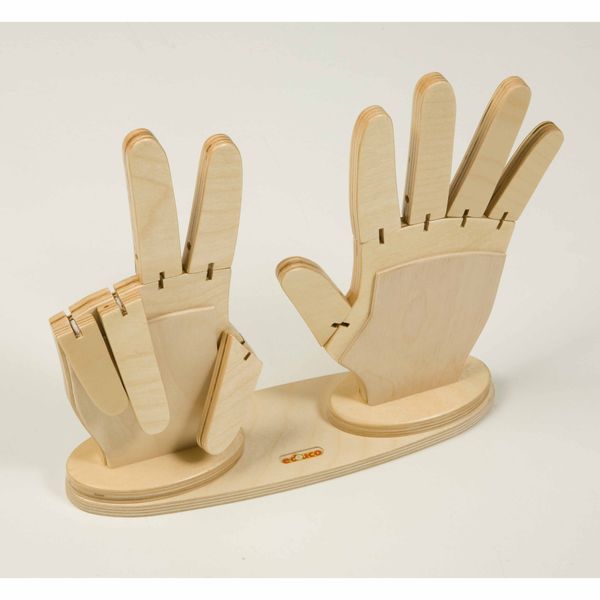 Holzhand, Handmodell, Holz, Werkzeugständer, Kunststoff?