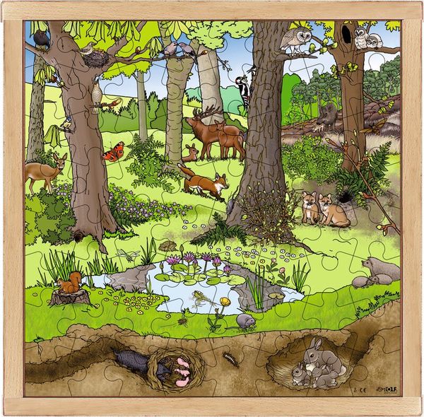 Waldlandschaft, Tiere, Puzzles, Junge Waldtiere, Bodenleben