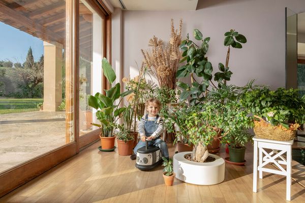 Kinder, Lauflernrad, Wohnzimmer, Pflanzen, Innenraum