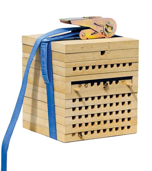 Zuchtset Wildbienen, 5-tlg.