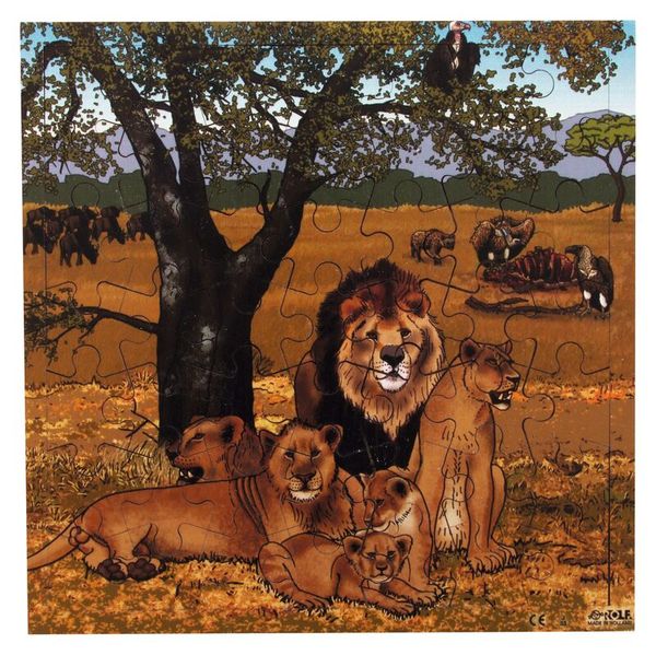 Löwe, Löwen, Löwenbaby, Savanne, Puzzle