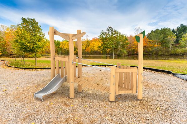 Spielkombination mit Rusche, Robinia, Ü3