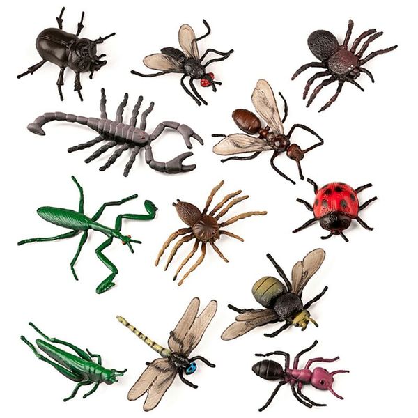 insekten, tiere, modell, sammlungsfigur, auswahl
