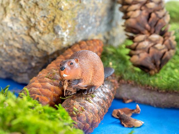 BETZOLD Nordamerikanische Tiere, 12-teiliges Set