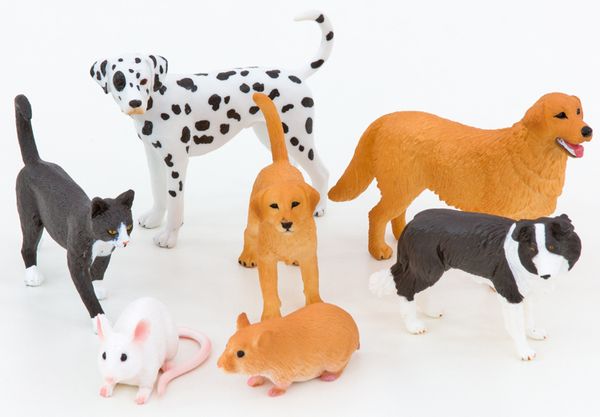 haustier, spielzeugtiere, hund, katze, maus und rattenmodell