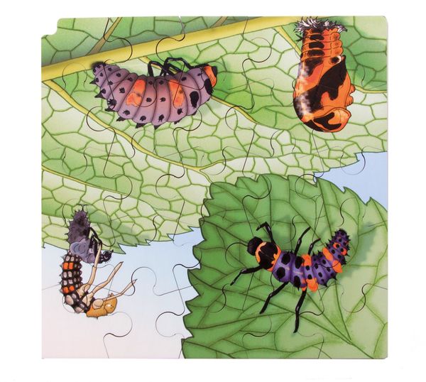 Circle of life Puzzle, Marienkäfer, Holz, 86 Teile, ab 3 Jahre Circle of life Puzzle, Marienkäfer, Holz, 86 Teile, ab 3 Jahre