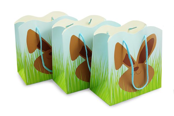 Geschenktüte, Partytüte, brauner Hund, Hundebild, Grasmotiv