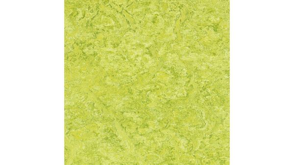 BETZOLD EduCasa Podest-Rechteck für Liegepolster, 150x75cm
