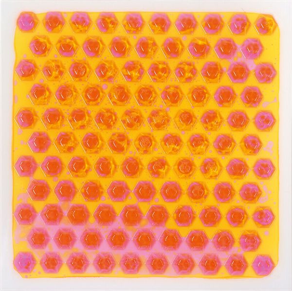 Sensorik Platten Liquid, 6 Stück