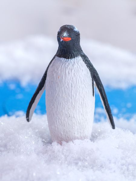 Pinguin, Figur, Schnee, Miniatur, Schwarz-Weiß