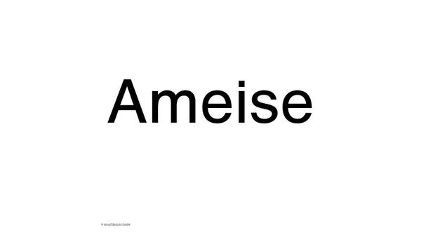 Ameise, Schriftzug, Textbild, Hintergrund weiß, Kunstwerk