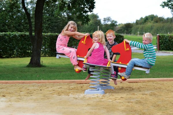 Ponywippe für 4 Kinder