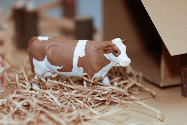 Schleich® Bauernhoftiere-Set, 9-teilig Schleich® Bauernhoftiere-Set, 9-teilig