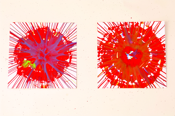 Farbschleuder Kunststoff, 36 cm Farbschleuder Kunststoff, 36 cm