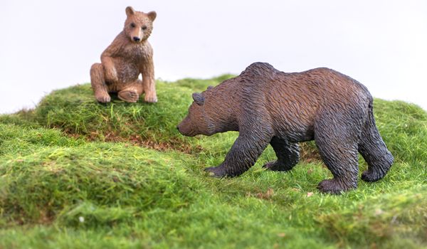 Bär, Bärenfigur, Tierfigur, Waldlandschaft, Spielset