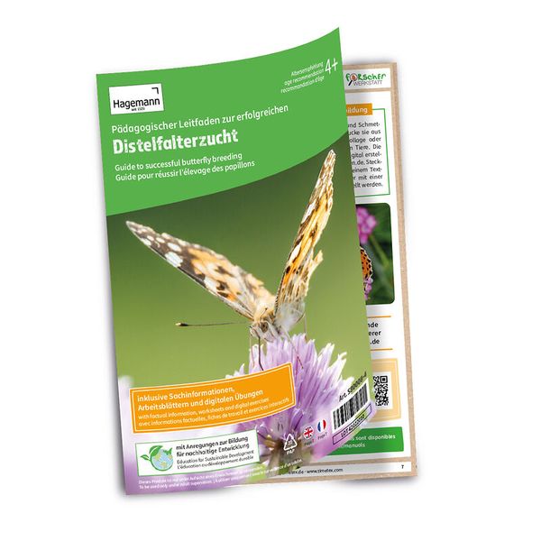 Präparate, Broschüre, Distelfalter, Pädagogik, Informationen