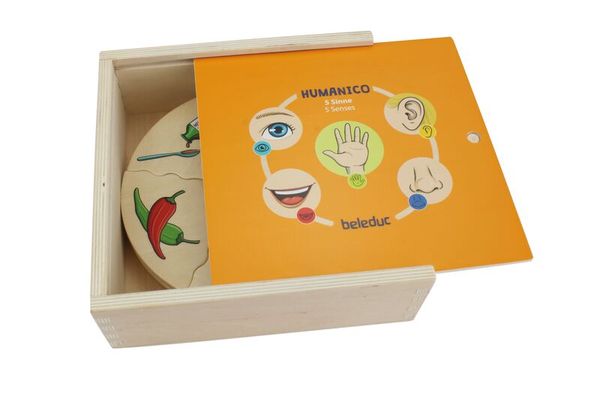 kinderspiel, educational, holzbox, lernspiel, kugelspiel