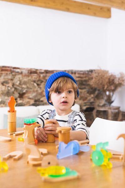 Magnetisches Konstruktionsspielzeug "Imaginary Fauna Box", 50-teilig (3-8 Jahre)