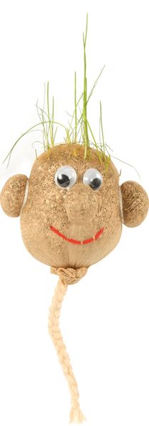 Graskopf, 12er Set Graskopf, 12er Set