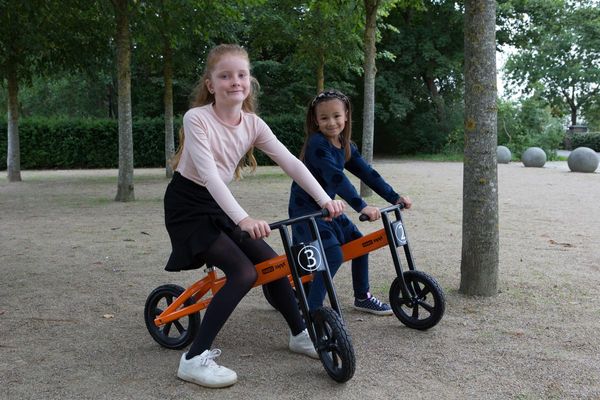 Balance-Fahrrad, Kinderfahrrad, Oranger Rahmen, Pediatric-Fahrrad, Zwei Kinder